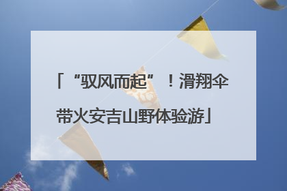 “驭风而起”！滑翔伞带火安吉山野体验游