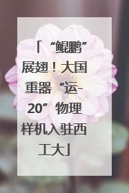 “鲲鹏”展翅！大国重器“运-20”物理样机入驻西工大