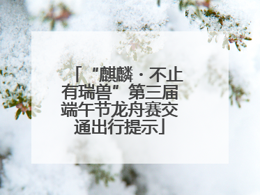 “麒麟・不止有瑞兽”第三届端午节龙舟赛交通出行提示