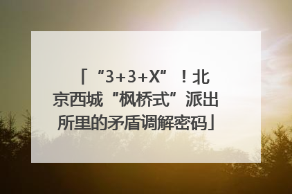 “3+3+X”！北京西城“枫桥式”派出所里的矛盾调解密码
