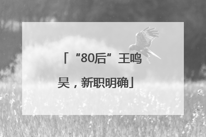 “80后”王鸣昊，新职明确