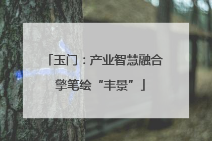 玉门：产业智慧融合 擎笔绘“丰景”