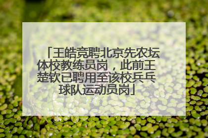王皓竞聘北京先农坛体校教练员岗，此前王楚钦已聘用至该校兵乓球队运动员岗