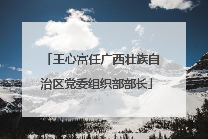 王心富任广西壮族自治区党委组织部部长