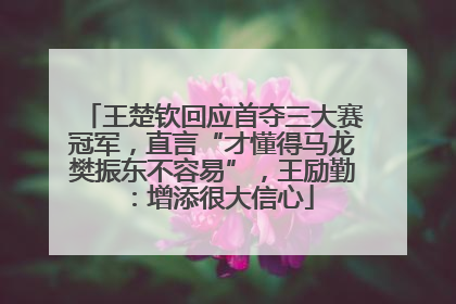 王楚钦回应首夺三大赛冠军，直言“才懂得马龙樊振东不容易”，王励勤：增添很大信心