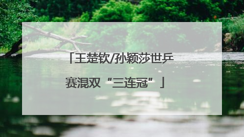 王楚钦/孙颖莎世乒赛混双“三连冠”