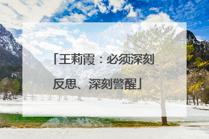 王莉霞：必须深刻反思、深刻警醒
