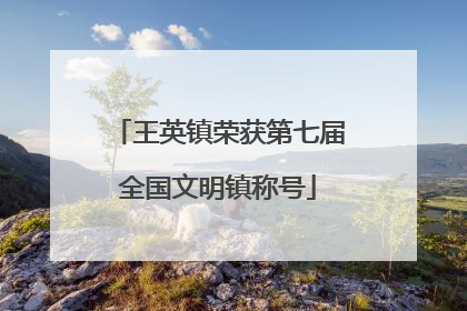 王英镇荣获第七届全国文明镇称号