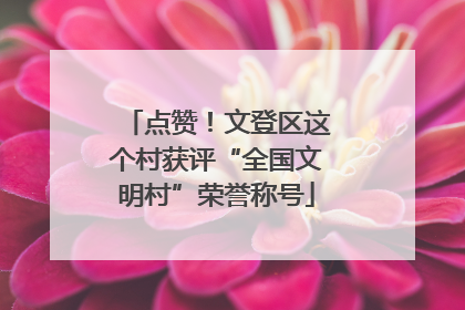 点赞！文登区这个村获评“全国文明村”荣誉称号