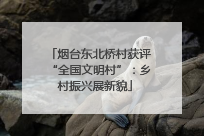 烟台东北桥村获评“全国文明村”：乡村振兴展新貌