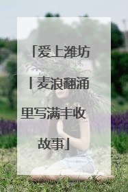爱上潍坊丨麦浪翻涌里写满丰收故事