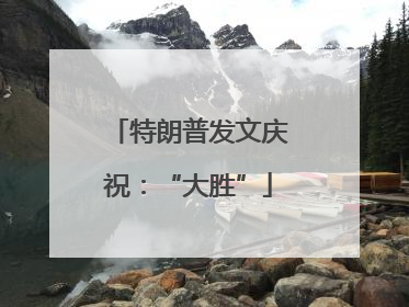 特朗普发文庆祝：“大胜”