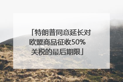 特朗普同意延长对欧盟商品征收50%关税的最后期限