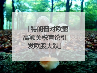 特朗普对欧盟高额关税言论引发欧股大跌