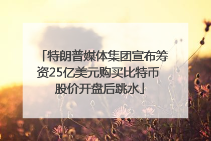 特朗普媒体集团宣布筹资25亿美元购买比特币 股价开盘后跳水