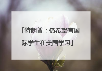 特朗普：仍希望有国际学生在美国学习