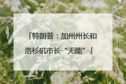 特朗普：加州州长和洛杉矶市长“无能”