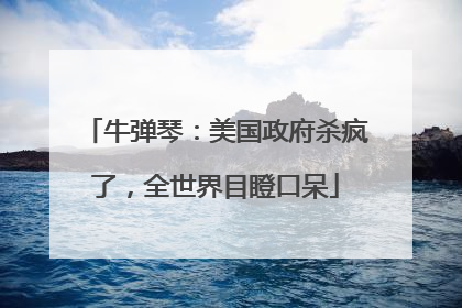 牛弹琴：美国政府杀疯了，全世界目瞪口呆