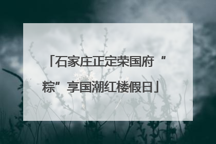 石家庄正定荣国府“粽”享国潮红楼假日