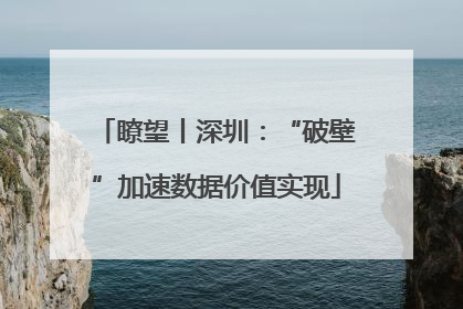 瞭望丨深圳：“破壁”加速数据价值实现