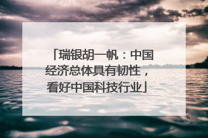 瑞银胡一帆：中国经济总体具有韧性，看好中国科技行业
