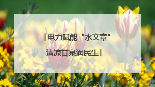 电力赋能“水文章” 清凉甘泉润民生