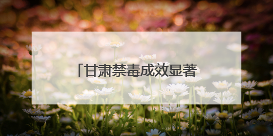 甘肃禁毒成效显著：高压严打与全民防控构筑安全防线