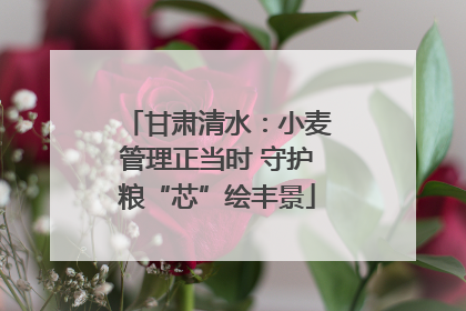 甘肃清水：小麦管理正当时 守护粮“芯”绘丰景