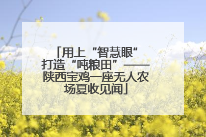 用上“智慧眼” 打造“吨粮田”——陕西宝鸡一座无人农场夏收见闻