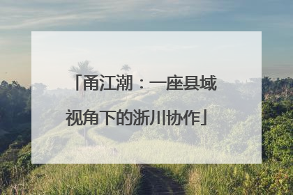 甬江潮：一座县域视角下的浙川协作