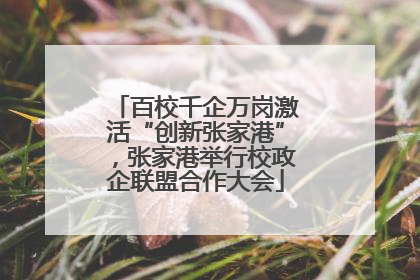 百校千企万岗激活“创新张家港”，张家港举行校政企联盟合作大会