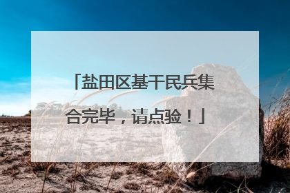 盐田区基干民兵集合完毕，请点验！