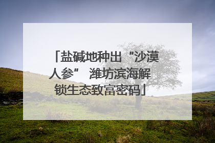 盐碱地种出“沙漠人参” 潍坊滨海解锁生态致富密码