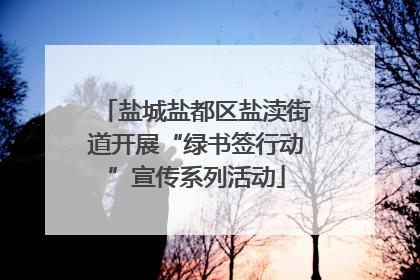 盐城盐都区盐渎街道开展“绿书签行动”宣传系列活动