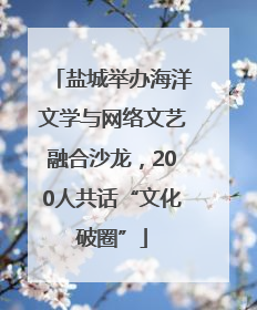 盐城举办海洋文学与网络文艺融合沙龙，200人共话“文化破圈”