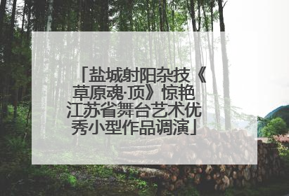 盐城射阳杂技《草原魂·顶》惊艳江苏省舞台艺术优秀小型作品调演