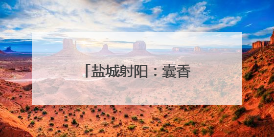 盐城射阳：囊香粽香飘溢校园 传统文化深植心田