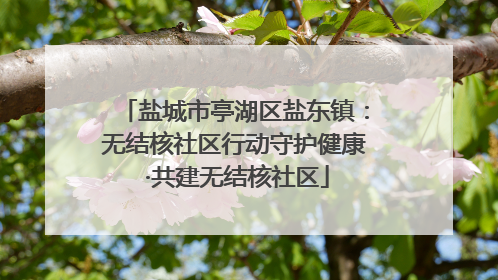 盐城市亭湖区盐东镇：无结核社区行动守护健康 ·共建无结核社区