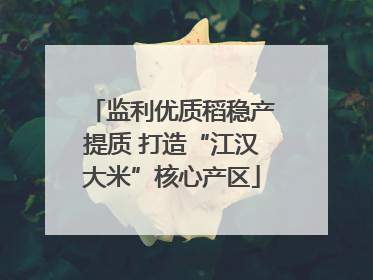 监利优质稻稳产提质 打造“江汉大米”核心产区