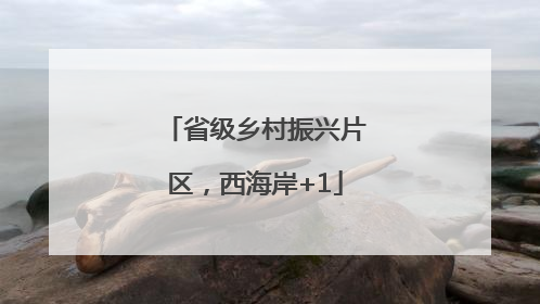 省级乡村振兴片区，西海岸+1