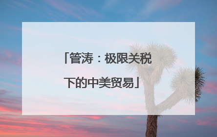管涛：极限关税下的中美贸易