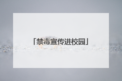 禁毒宣传进校园