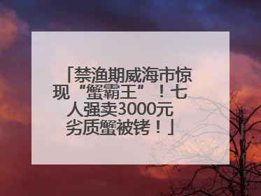 禁渔期威海市惊现“蟹霸王”！七人强卖3000元劣质蟹被铐！