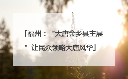 福州：“大唐金乡县主展”让民众领略大唐风华