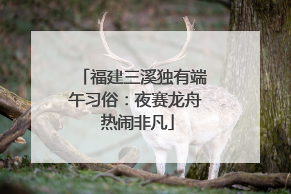 福建三溪独有端午习俗：夜赛龙舟 热闹非凡