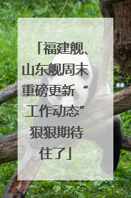 福建舰、山东舰周末重磅更新“工作动态” 狠狠期待住了