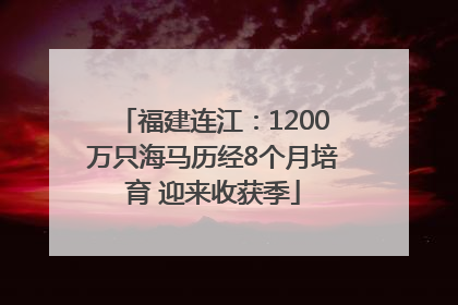 福建连江：1200万只海马历经8个月培育 迎来收获季