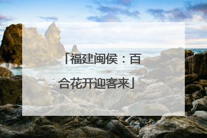 福建闽侯：百合花开迎客来