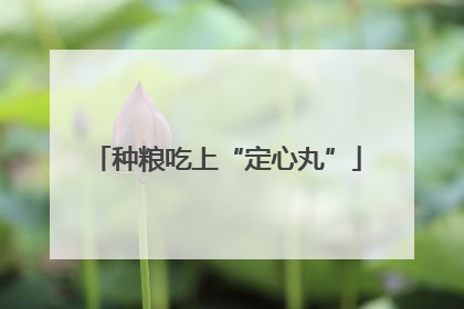 种粮吃上“定心丸”