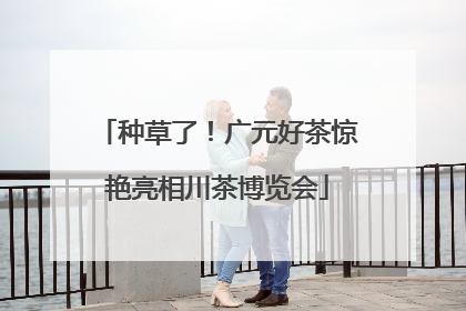 种草了！广元好茶惊艳亮相川茶博览会